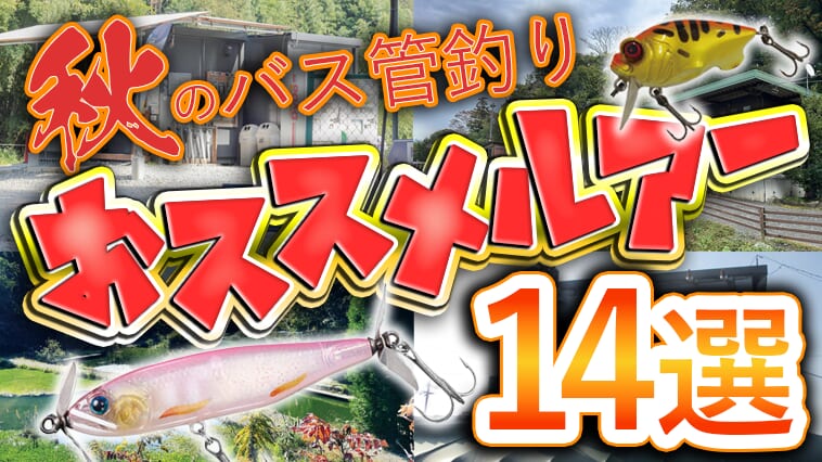 【初心者必見】バスがとにかくたくさん釣りたいなら秋の管釣りがおススメ!イチオシルアー14選
