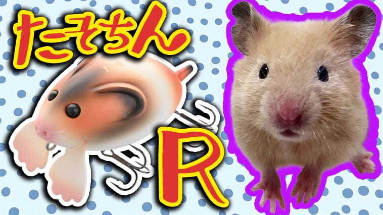 ｜可愛くて使えない⁉世にも珍しいハムスター型ルアーでブラックバスが釣れる！