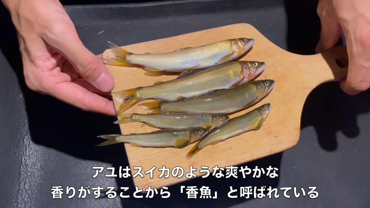 ｜「見てるだけで飯テロ」「羨ましい」流行の釣りで『絶品魚』を狙う。思わず画面から香りが伝わる“魚料理”に反響多数。「これはウマいわ…」