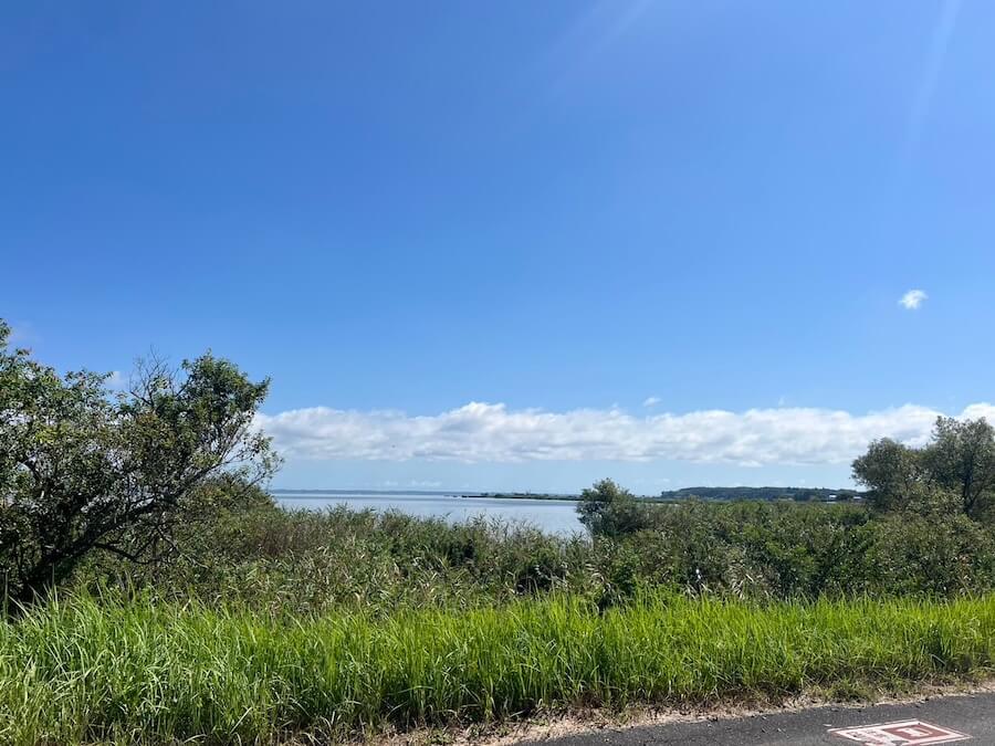 ｜陸王U-30優勝者がプラクティスを振り返る！プロが実践する大会直前の準備とは？