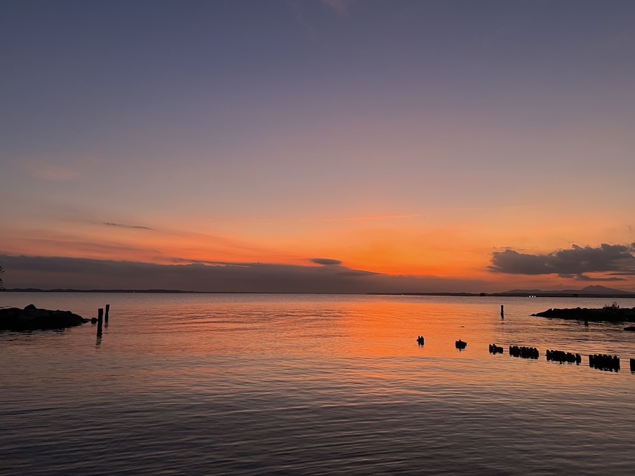 ｜陸王U-30優勝者がプラクティスを振り返る！プロが実践する大会直前の準備とは？