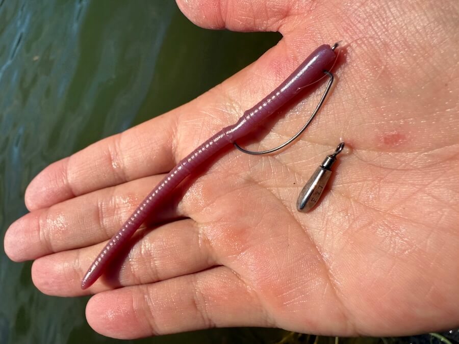 ｜「日中の厳しい時間帯もこれで安泰！」4インチのストレートワームに軽いシンカー、これを“とあるリグ”で使うと最強！試さないと損！