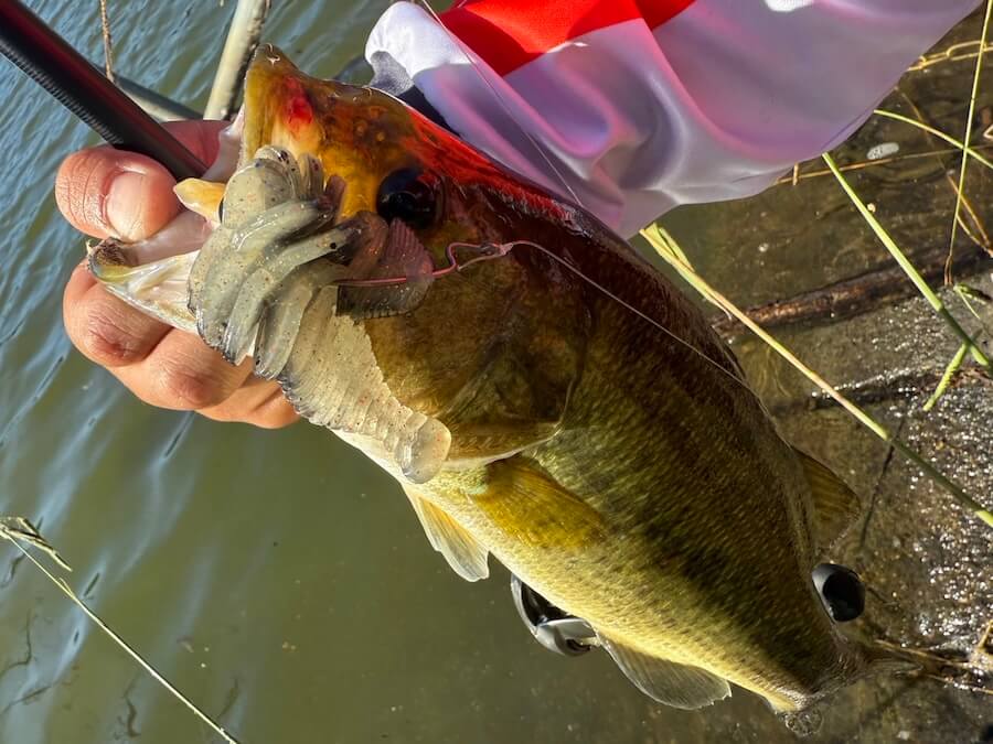 ｜「日中の厳しい時間帯もこれで安泰！」4インチのストレートワームに軽いシンカー、これを“とあるリグ”で使うと最強！試さないと損！