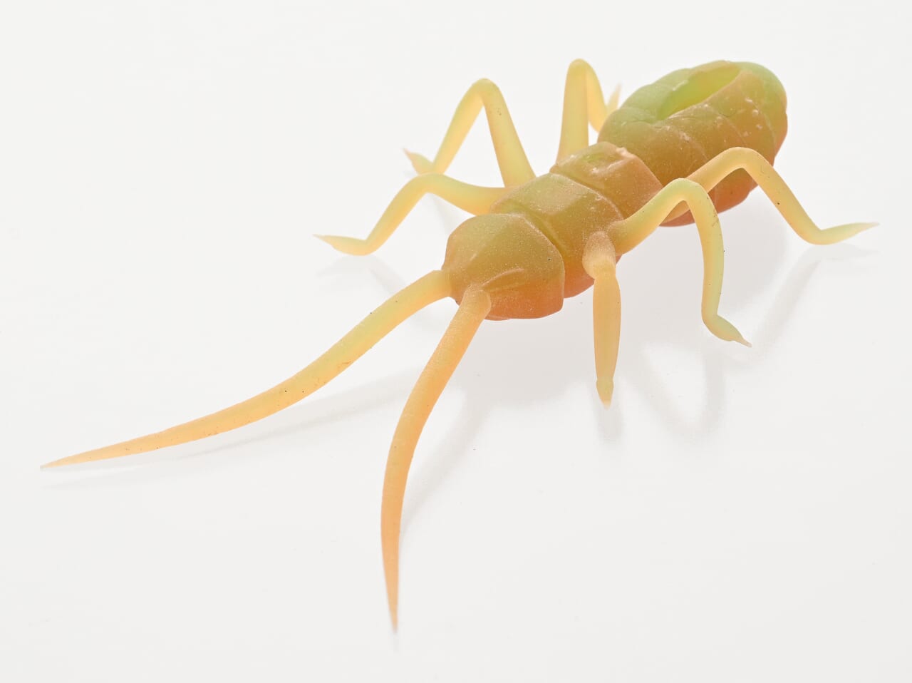 |大本命「虫ルアー」が2代目に!「虫の平均値的デザイン」とはいったい…⁉