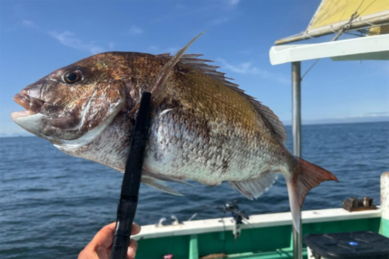 ｜「“毒魚”対策」「大手メーカーだから安心だね」釣った魚をがっちりホールドして逃さない。釣り必携のアイテムがDAIWAから登場。
