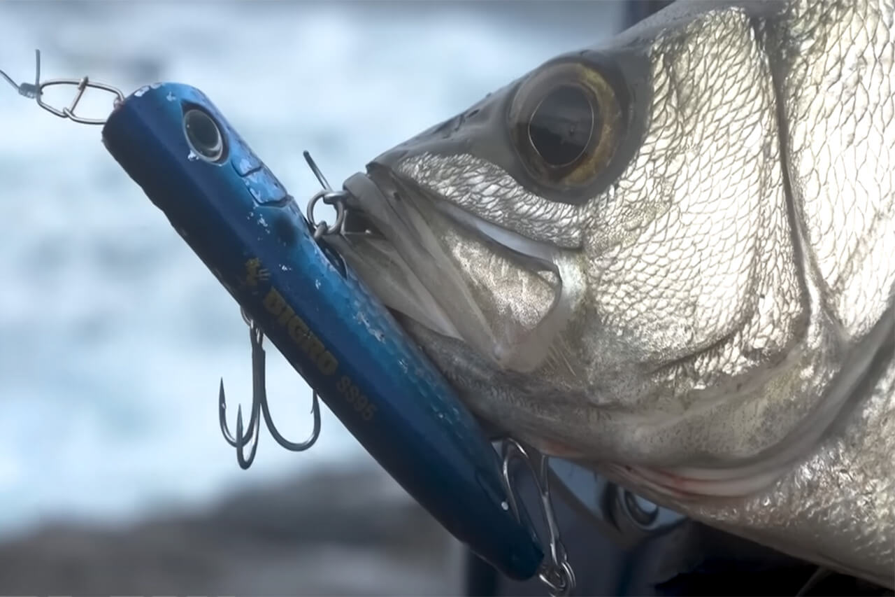 ｜水面ミスバイトを極限まで減らす。マリアから登場するルアーに新型システム「クローフック」搭載！ミスバイトを極限まで減らすそのシステムとは。