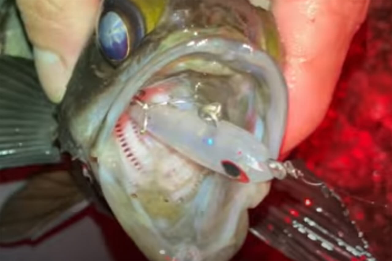｜ほぼ動きません→だけど、それが釣れるんです。目立たないからこそ“魚に効く”！ソフトボディとフラッシュボーンを組み合わせたルアーが新登場！
