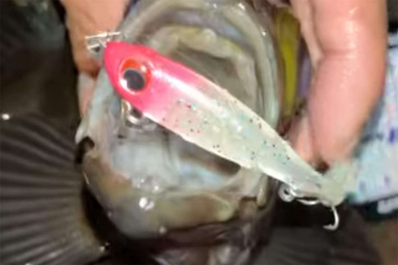 ｜「音が出ない？」魚に違和感を与えずにアピールできるから、巻くだけで簡単に釣れちゃう！メジャークラフトのライトゲームルアーが新登場。