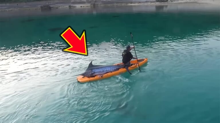 「サムネ詐欺かと思った」「無事でよかったわ…」カヤックで“まさかの巨大魚”に挑む。死亡例すらある危険な釣り。