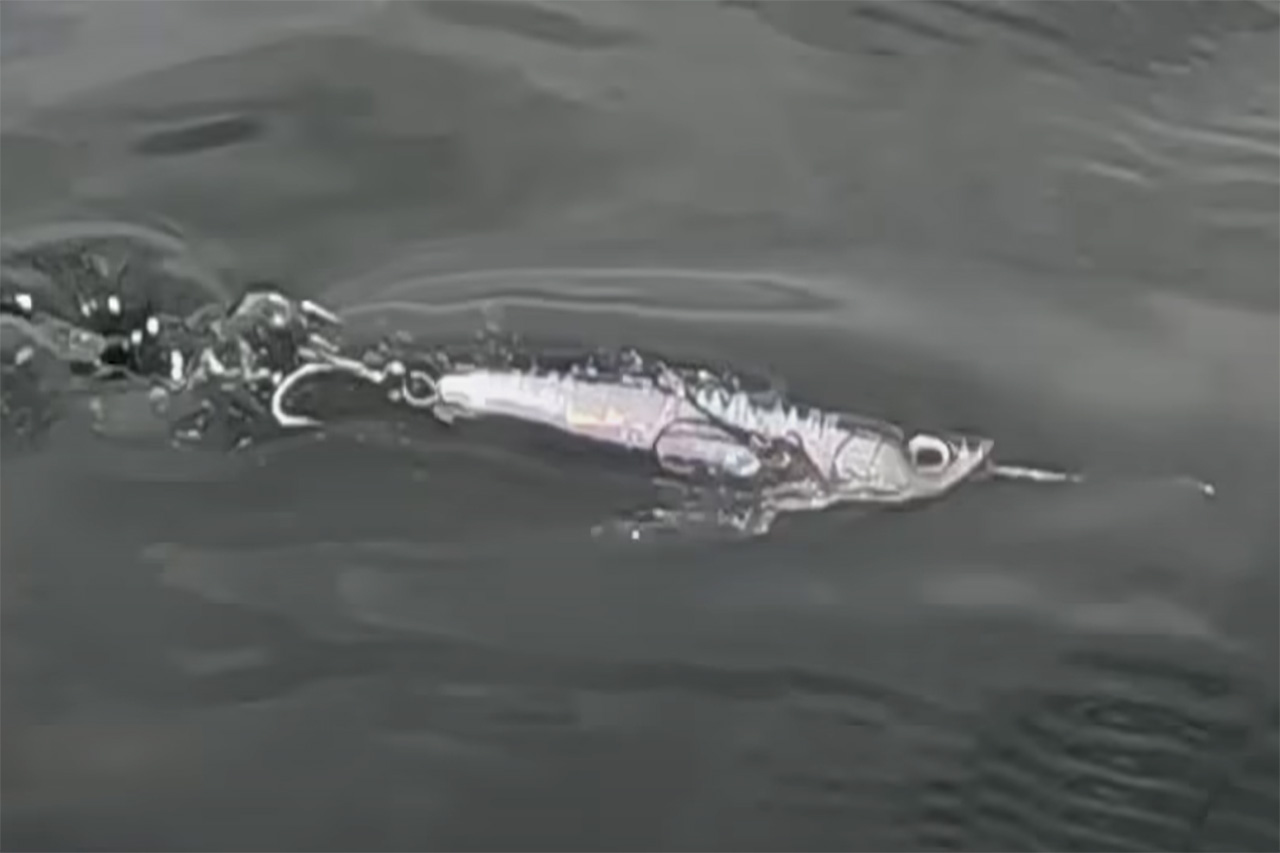 ｜水面ミスバイトを極限まで減らす。マリアから登場するルアーに新型システム「クローフック」搭載！ミスバイトを極限まで減らすそのシステムとは。