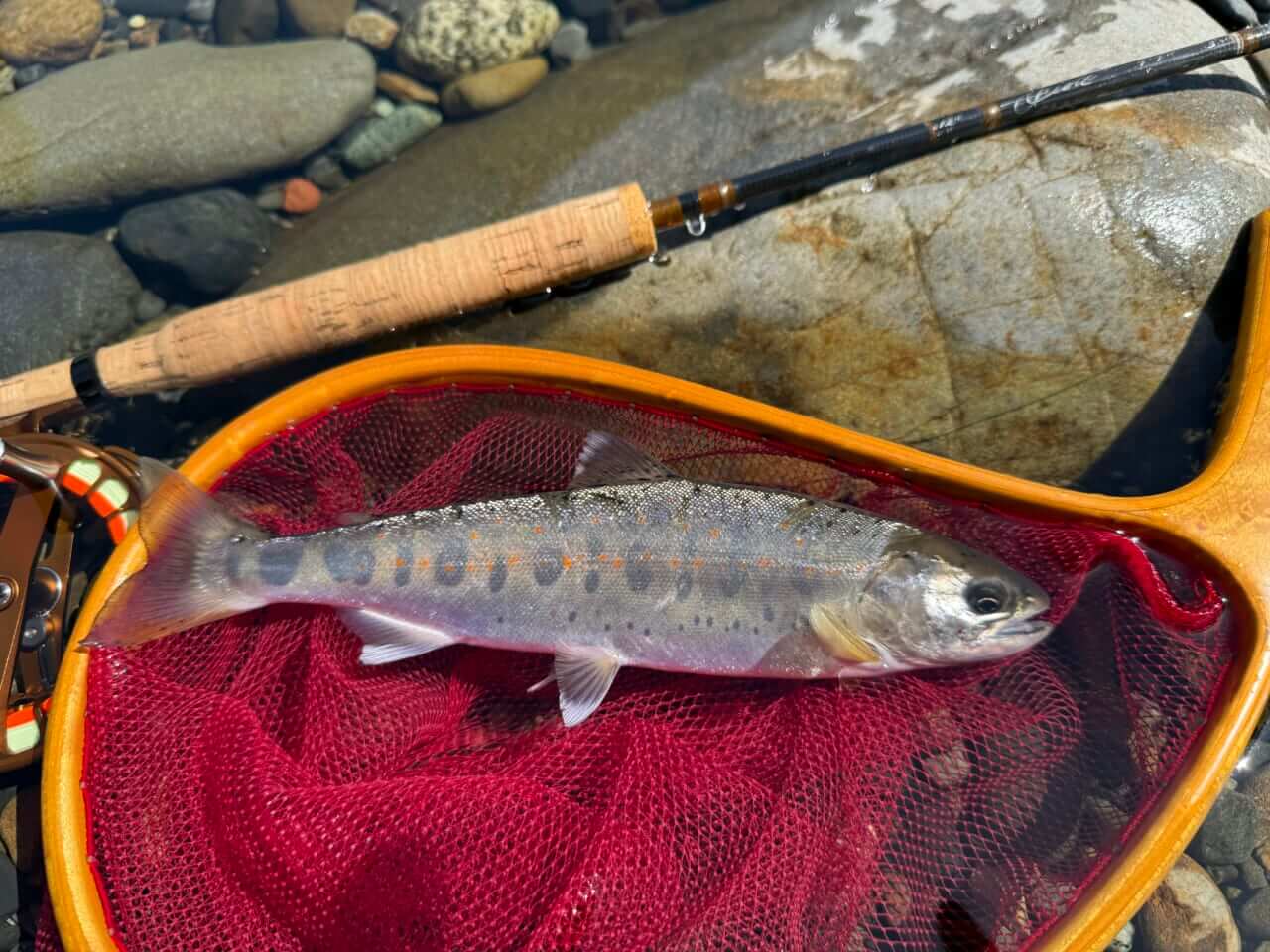 ｜本気でフライフィッシングを始める人が買うべき『フライロッド』とは？／フライフィッシングの教科書05