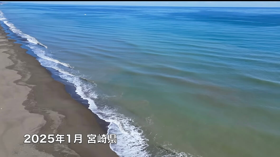 ｜「キタ！キタ！」「ヤバいなコレ。」宮崎県の砂浜でユーチューバーが“幻の巨大魚”捕獲。しかし…。「素直に喜べないところもある…」