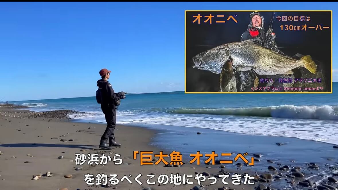 ｜「キタ！キタ！」「ヤバいなコレ。」宮崎県の砂浜でユーチューバーが“幻の巨大魚”捕獲。しかし…。「素直に喜べないところもある…」
