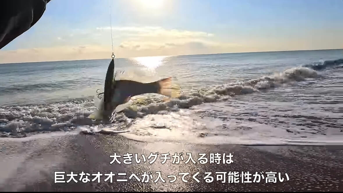 ｜「キタ！キタ！」「ヤバいなコレ。」宮崎県の砂浜でユーチューバーが“幻の巨大魚”捕獲。しかし…。「素直に喜べないところもある…」