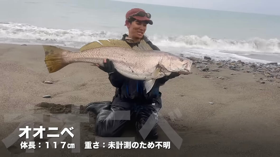 ｜「キタ！キタ！」「ヤバいなコレ。」宮崎県の砂浜でユーチューバーが“幻の巨大魚”捕獲。しかし…。「素直に喜べないところもある…」