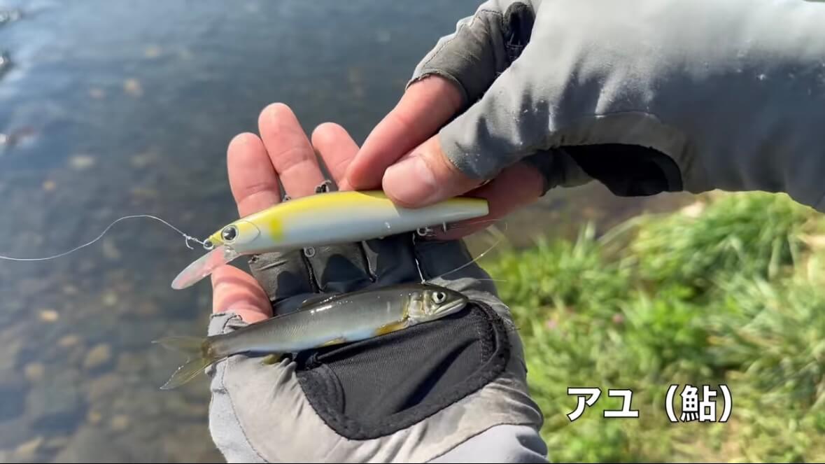 ｜「見てるだけで飯テロ」「羨ましい」流行の釣りで『絶品魚』を狙う。思わず画面から香りが伝わる“魚料理”に反響多数。「これはウマいわ…」