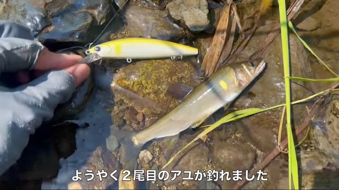 ｜「見てるだけで飯テロ」「羨ましい」流行の釣りで『絶品魚』を狙う。思わず画面から香りが伝わる“魚料理”に反響多数。「これはウマいわ…」