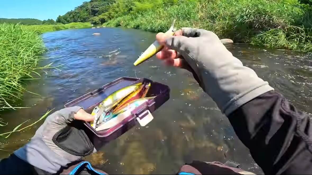 ｜「見てるだけで飯テロ」「羨ましい」流行の釣りで『絶品魚』を狙う。思わず画面から香りが伝わる“魚料理”に反響多数。「これはウマいわ…」