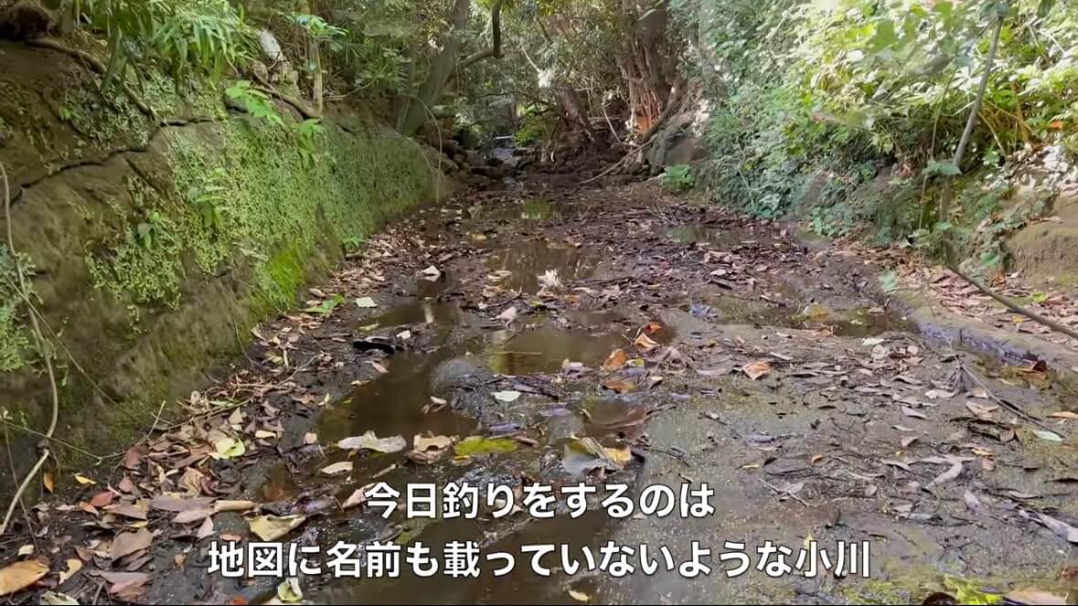 |「よっしゃ!」「食った!」ミミズのついた『木の枝』を岩陰に突っ込むと…? 20万回再生された“穴釣り”に反響多数。