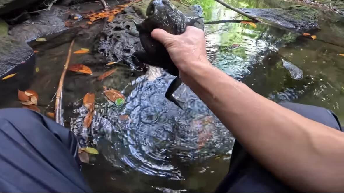 |「よっしゃ!」「食った!」ミミズのついた『木の枝』を岩陰に突っ込むと…? 20万回再生された“穴釣り”に反響多数。