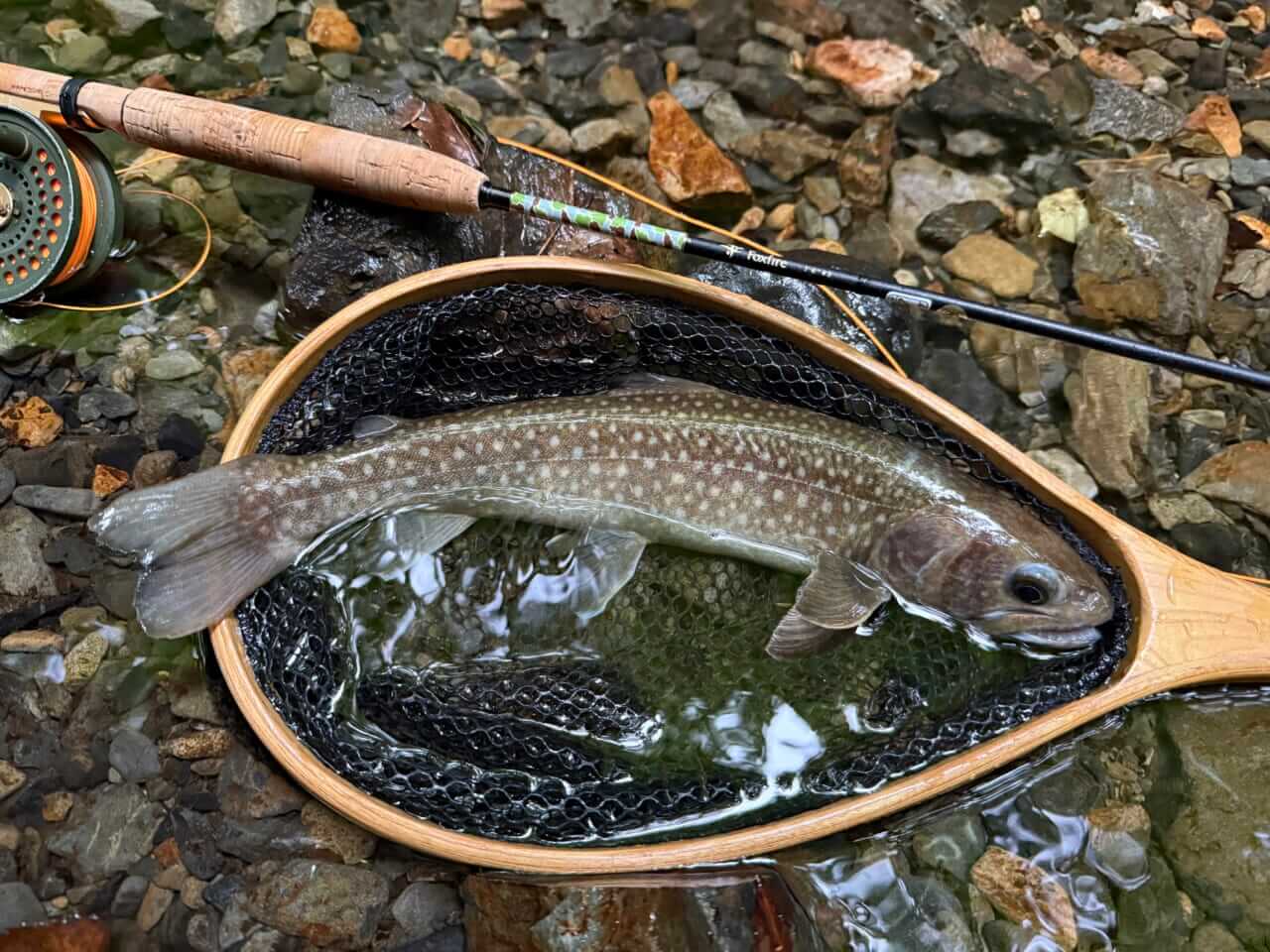 Rinsui Net リンスイ　Rise26 フライフィッシング Rinsui Net リンスイ Rise26 フライフィッシング Rinsui Net