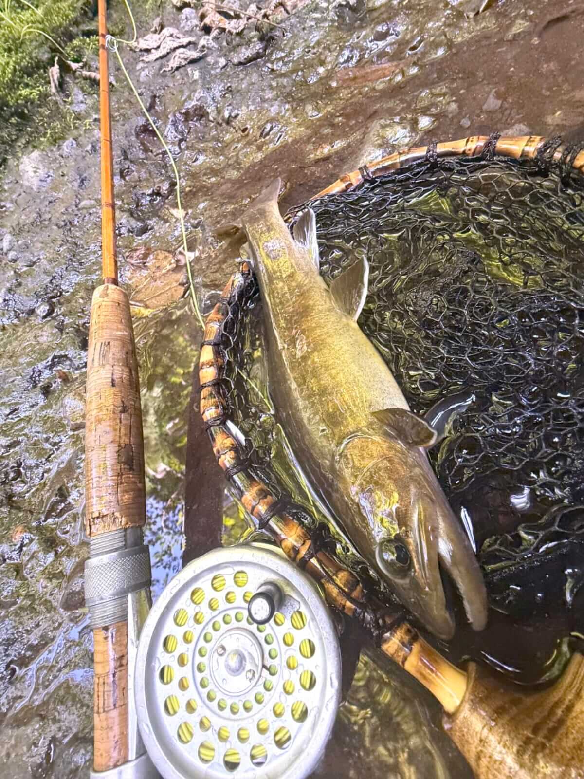 ｜本気でフライフィッシングを始める人が買うべき『フライロッド』とは？／フライフィッシングの教科書05