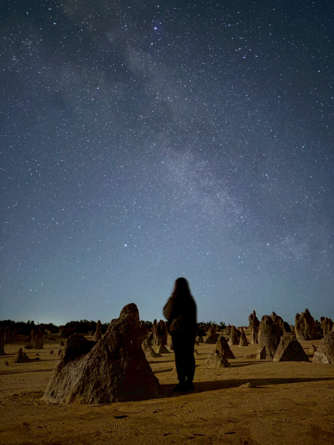 ｜狙うターゲットは60センチを超える『キス』。自然豊かなオーストラリアの西海岸で釣りをした結果。