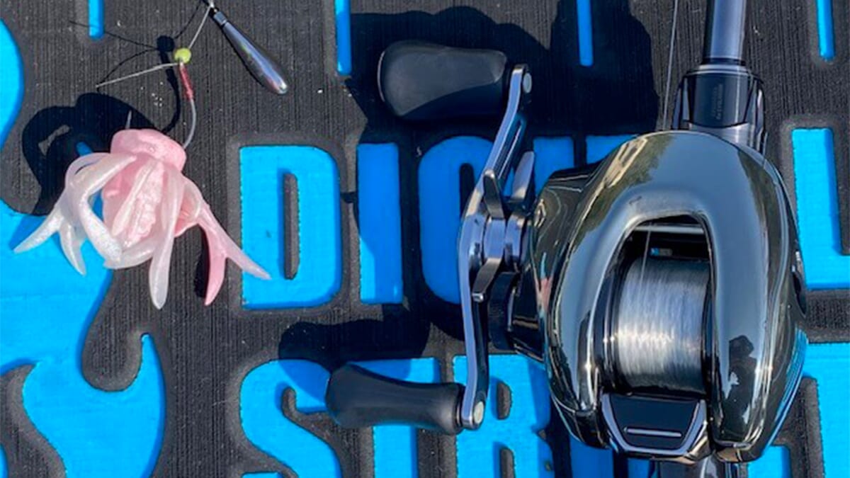 |流行りのワームはやっぱり釣れる!城ノ上さんの亀山湖釣行レポート! 使用タックル情報も!