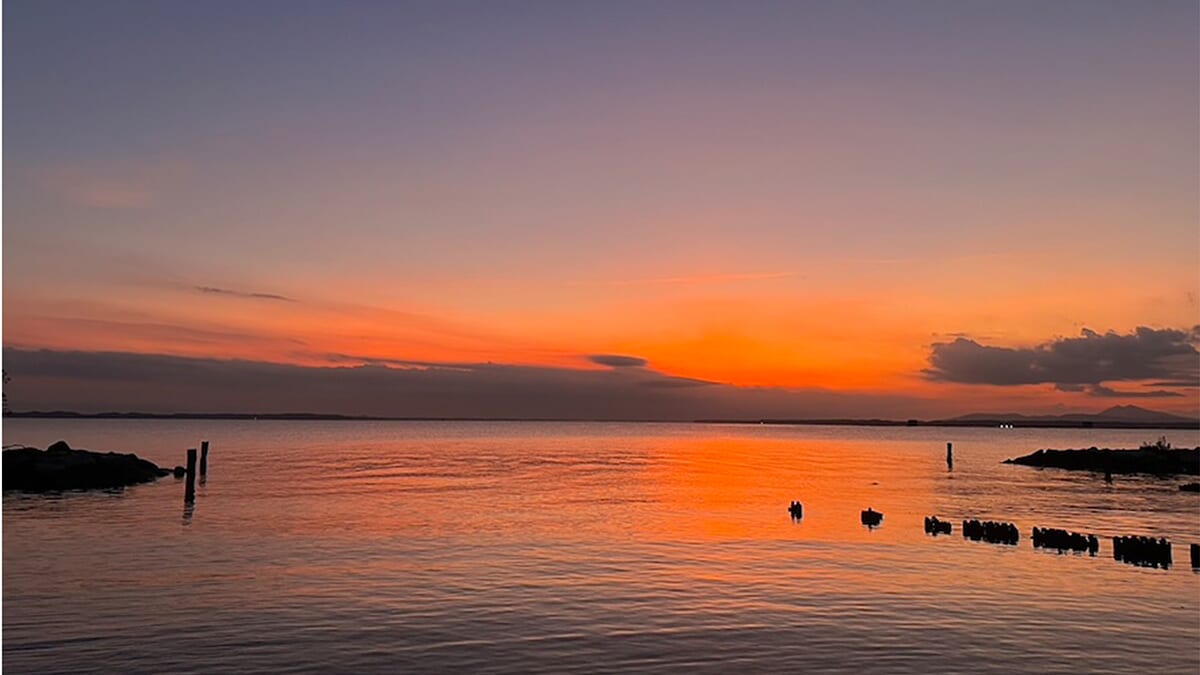 ｜陸王U-30優勝者がプラクティスを振り返る！プロが実践する大会直前の準備とは？