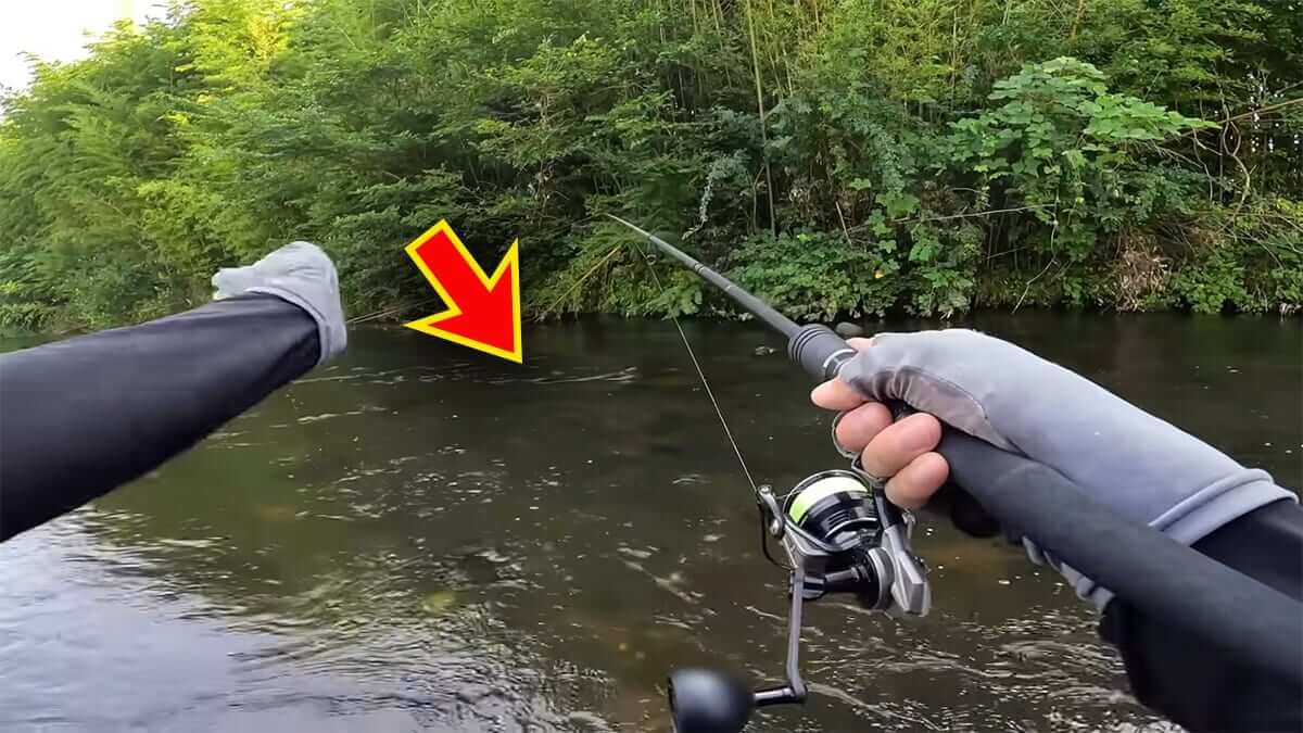 ｜「見てるだけで飯テロ」「羨ましい」流行の釣りで『絶品魚』を狙う。思わず画面から香りが伝わる“魚料理”に反響多数。「これはウマいわ…」