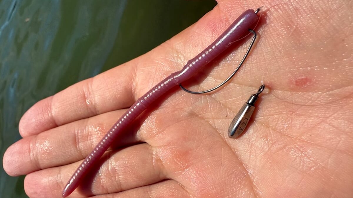 ｜「日中の厳しい時間帯もこれで安泰！」4インチのストレートワームに軽いシンカー、これを“とあるリグ”で使うと最強！試さないと損！