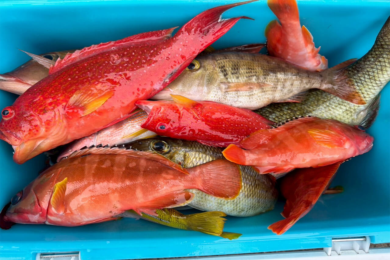 ｜【福島和可菜のLove Fishing】カジキ釣り大会に参加のはずがまさかの中止!? それでも自然と触れ合い充実した沖縄遠征に！