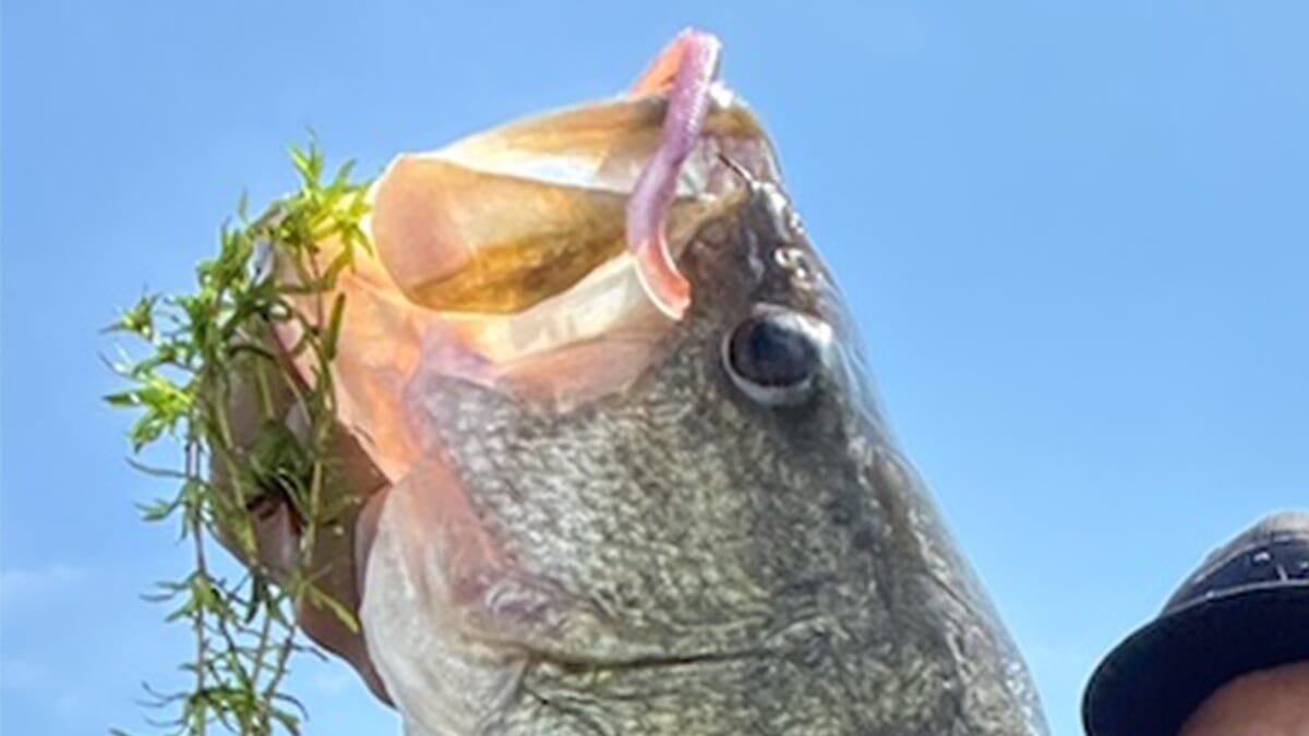 |「数釣りだけだと思って気を抜くな!」爆釣タイムに突然ヒットするビッグワン。水の中は秋に向かって爆進中!