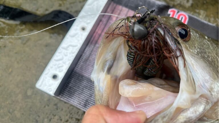 「この設計には脱帽…」水温低下と濁りで魚のテンションは急下降…。それでもギャップジグとギミーの“神の組み合わせ”なら！