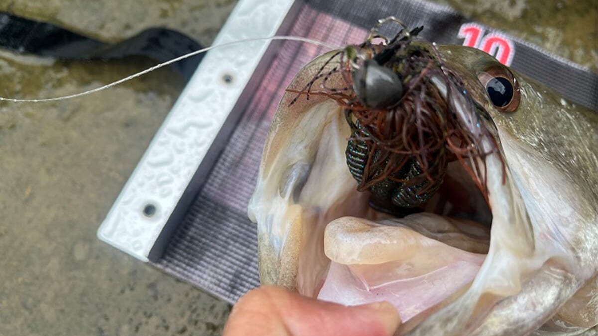 ｜「この設計には脱帽…」水温低下と濁りで魚のテンションは急下降…。それでもギャップジグとギミーの“神の組み合わせ”なら！