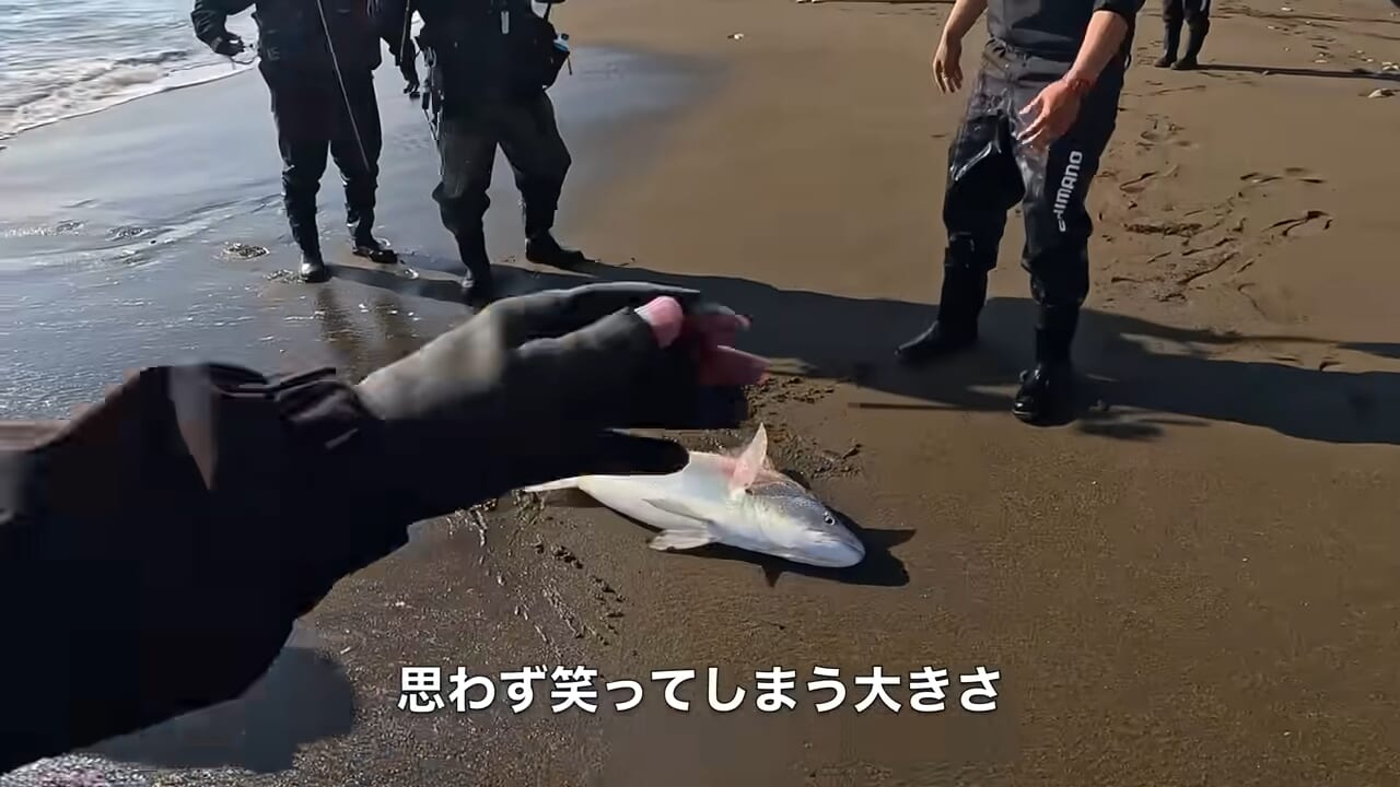 ｜「キタ！キタ！」「ヤバいなコレ。」宮崎県の砂浜でユーチューバーが“幻の巨大魚”捕獲。しかし…。「素直に喜べないところもある…」