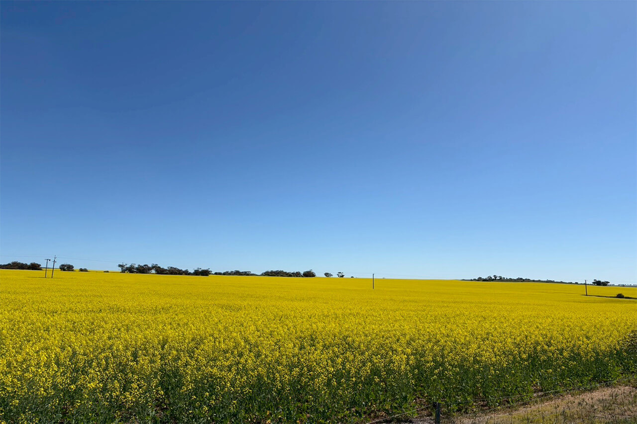 ｜狙うターゲットは60センチを超える『キス』。自然豊かなオーストラリアの西海岸で釣りをした結果。