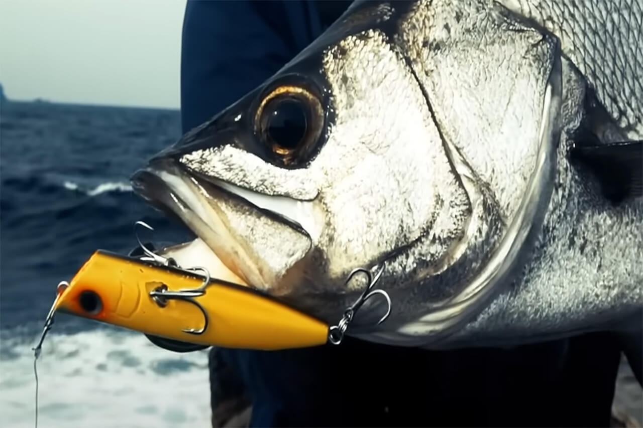 ｜水面ミスバイトを極限まで減らす。マリアから登場するルアーに新型システム「クローフック」搭載！ミスバイトを極限まで減らすそのシステムとは。