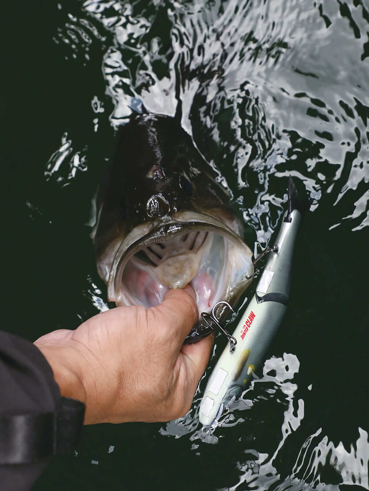 ｜ジョイクロにスレはない⁉元祖S字系『ジョインテッドクロー』に込められた魔法とは？