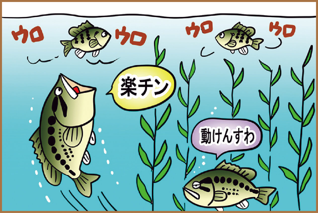 ｜これからがチャンス!琵琶湖でスーパービッグが「ビッグベイト」で釣れる！その考え方と使い方