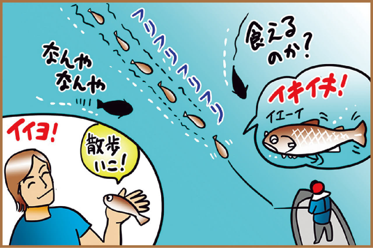 ｜ルアーとお散歩⁉ 最高傑作スイムベイトを使うための極意は『ペット』にあり⁉