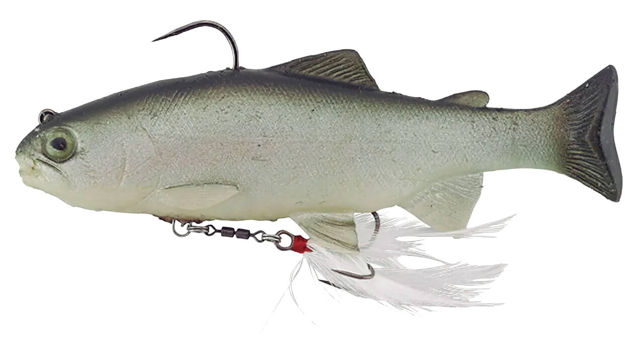 ｜ルアーとお散歩⁉ 最高傑作スイムベイトを使うための極意は『ペット』にあり⁉