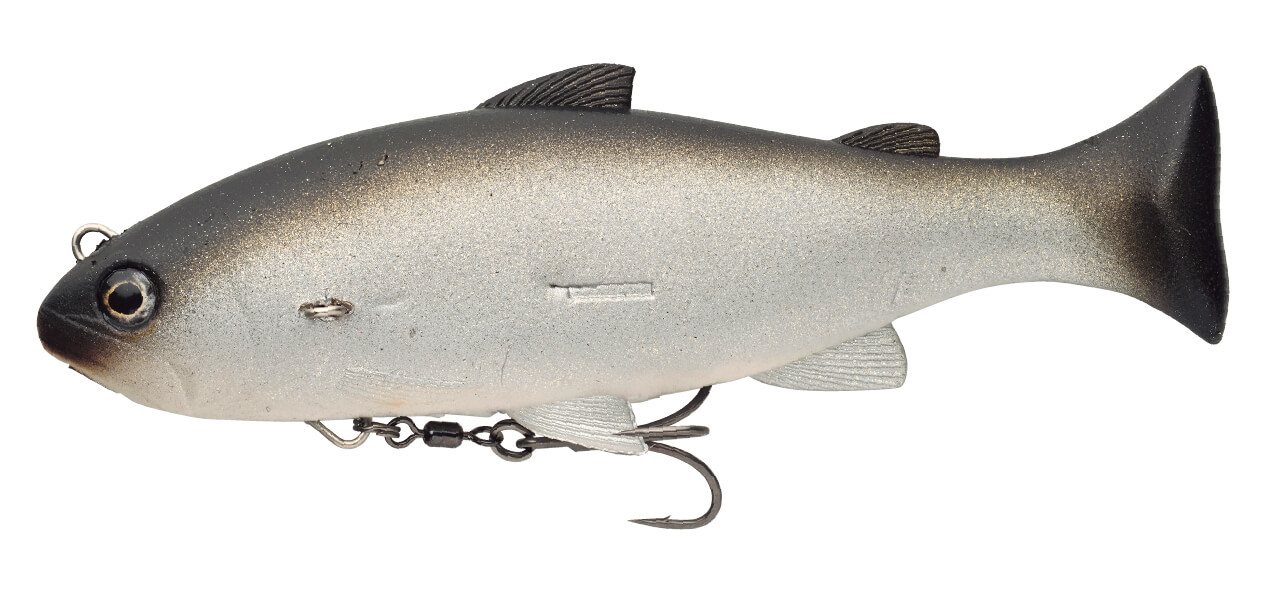 ｜ルアーとお散歩⁉ 最高傑作スイムベイトを使うための極意は『ペット』にあり⁉