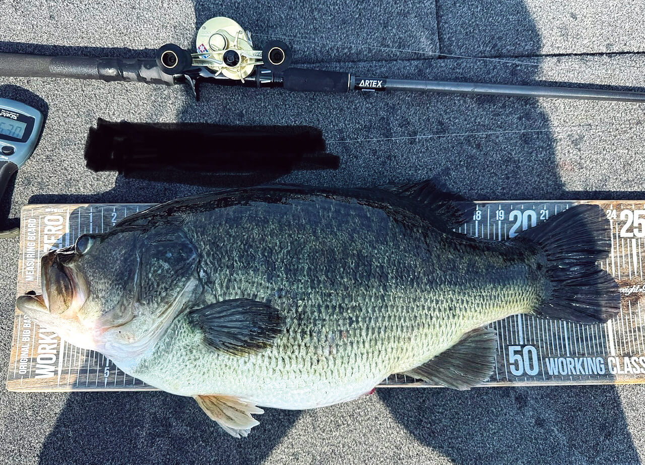 |クラッシュシリーズを使いこなすために『俺たちのビッグベイト術』