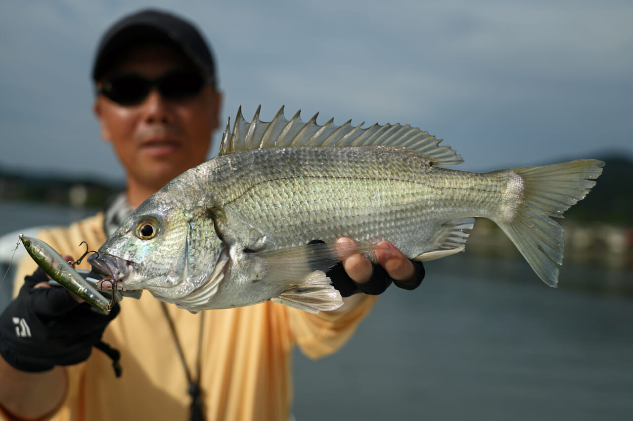 |【もりぞーのチニング全国行脚】界隈をざわつかせる新商品続々!「DAIWAの本気を感じさせるアイテムに期待!」