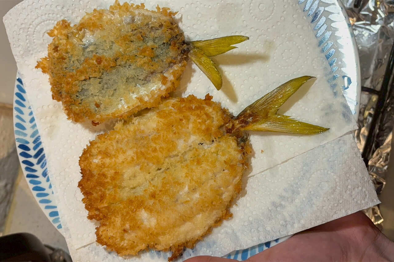 |オーストラリアでアジの呼び方って知ってる? シドニーでアジングをしてみた結果…。