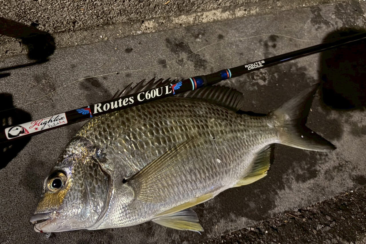 |オーストラリアでアジの呼び方って知ってる? シドニーでアジングをしてみた結果…。