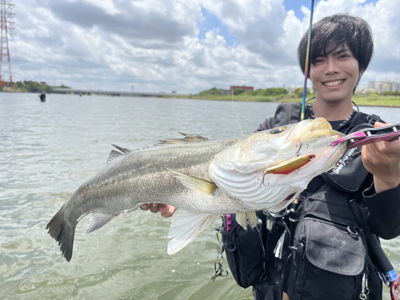 |コスパ良しの必殺ルアー!秋の東京湾攻略の奥の手投入でシーバスゲット!【週刊!東京湾シーバス情報】