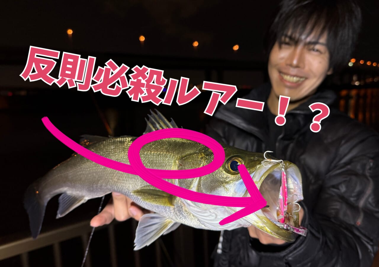 |コスパ良しの必殺ルアー!秋の東京湾攻略の奥の手投入でシーバスゲット!【週刊!東京湾シーバス情報】