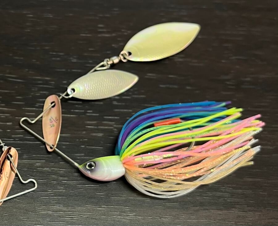 |【大会中に起きた激しい腹痛】それでも戦い抜いて上位入賞!「ここの水路、ボートでも入れたんだ…」